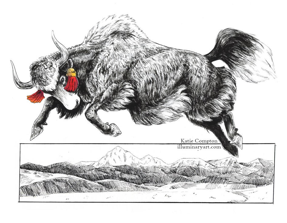 Leaping Yak, 8x10" ink drawing, $120 Leaping Yak, 8x10" ink drawing, $120