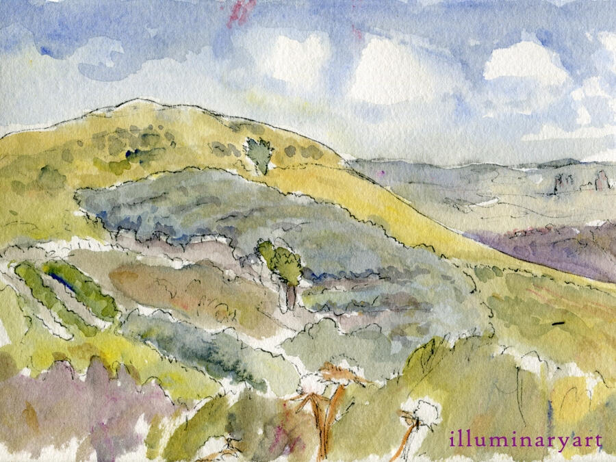 The Olive Grove, Israel