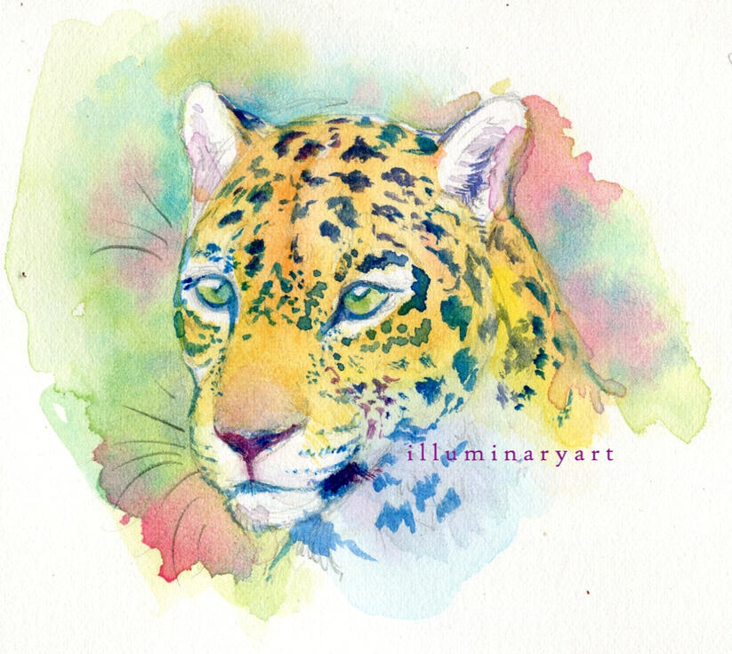 Jaguar